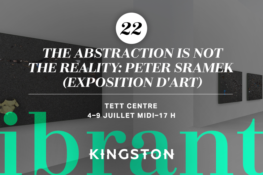 22. The Abstraction is Not the Reality: Peter Sramek (exposition d'art)