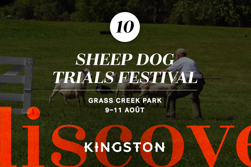 10. Sheep Dog Trials Festival
