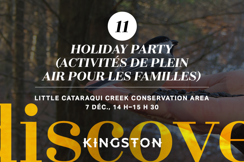 11. Holiday party (activités de plein air pour les familles)